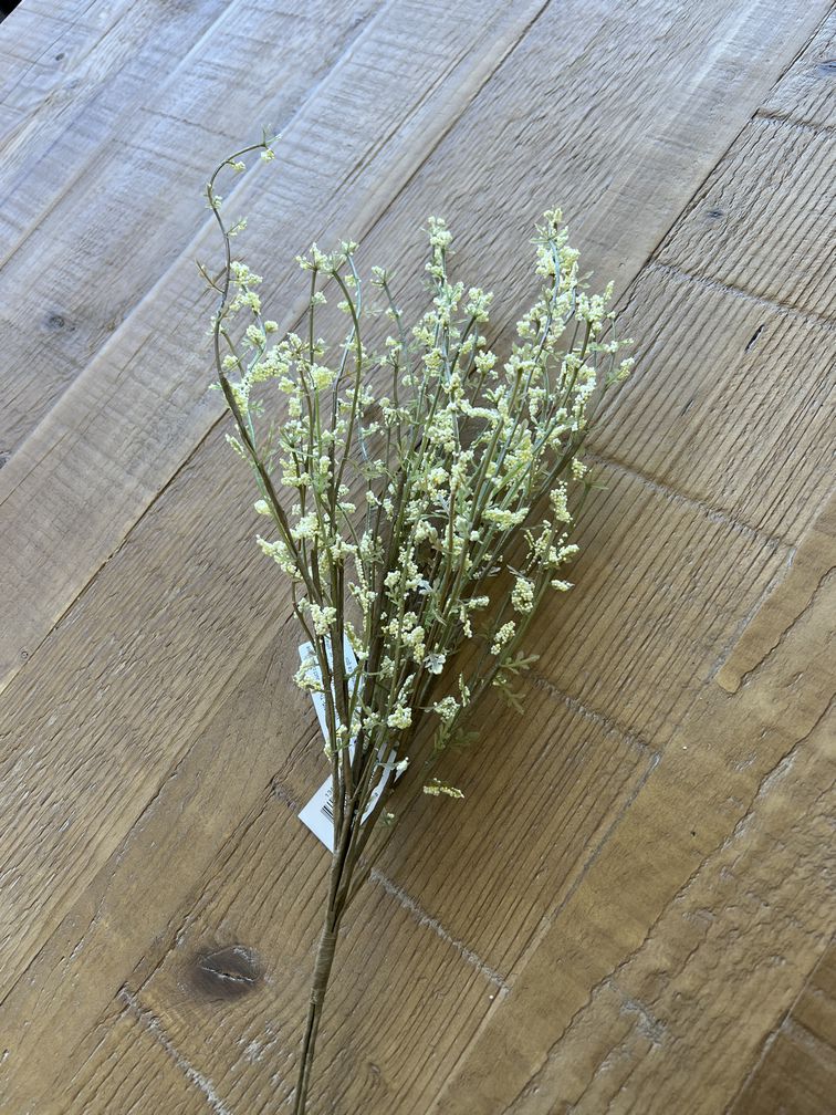 Floral / Stems / Branch