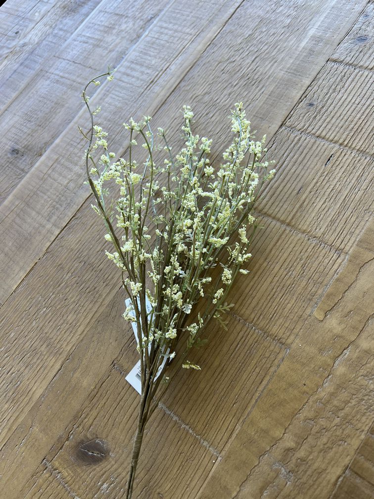 Floral / Stems / Branch